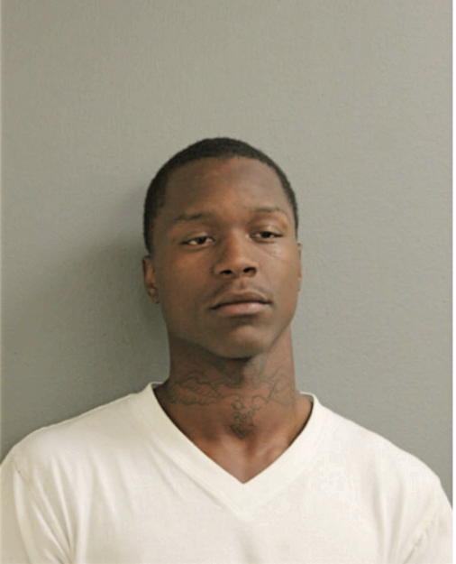 DADISI D WILIAMS, Cook County, Illinois