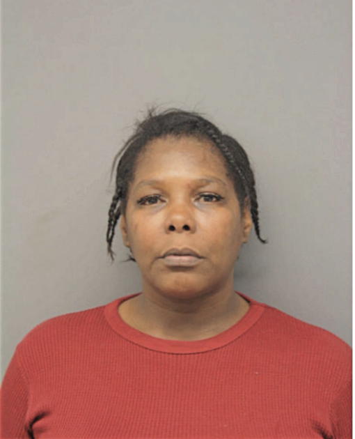 MARY A YOUNG, Cook County, Illinois