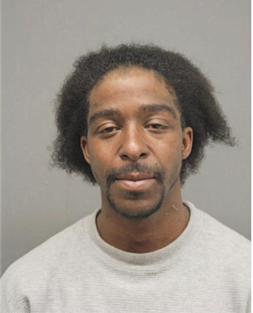 JAMES R ADAMS, Cook County, Illinois