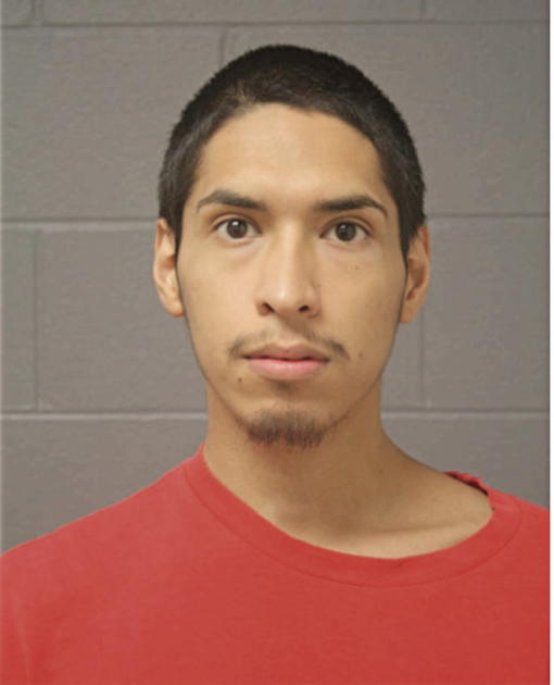 ELVIS ANTUNEZ, Cook County, Illinois