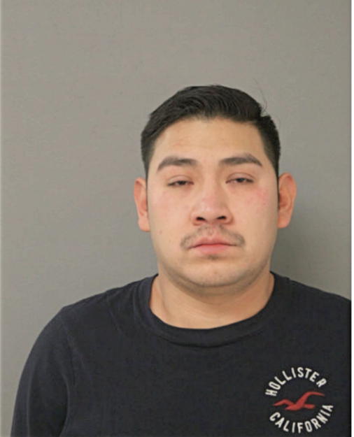 LUIS ARREAGA, Cook County, Illinois
