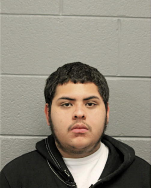 ALEXIS AVELAR, Cook County, Illinois