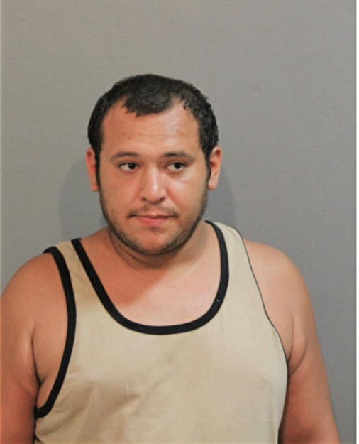 JOHN BAEZ, Cook County, Illinois