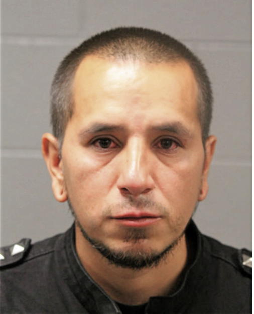 GONZALO A CALDERON, Cook County, Illinois