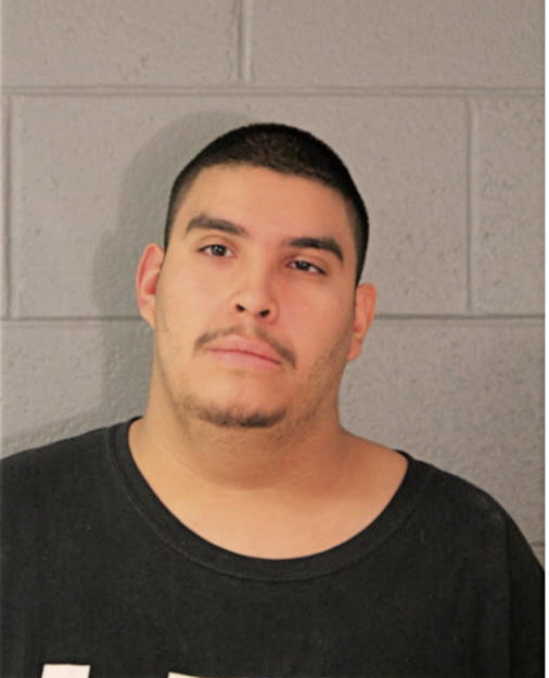 MICHAEL A CASTANAZA, Cook County, Illinois