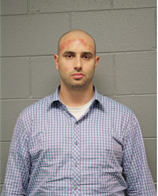 DAVID M DAPPER, Cook County, Illinois