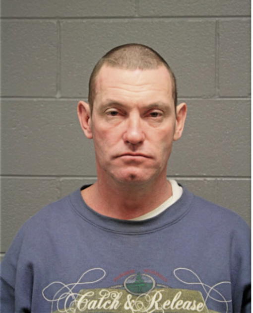 MICHAEL L DAVIS, Cook County, Illinois