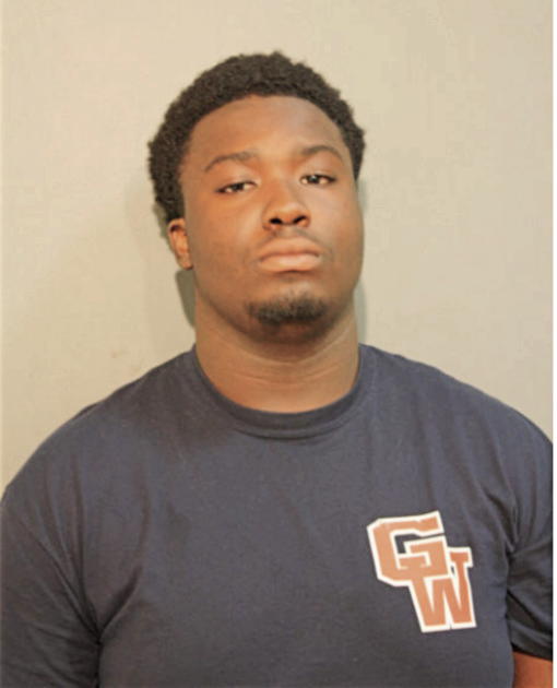 DOMINIQUE I DEXTRA, Cook County, Illinois