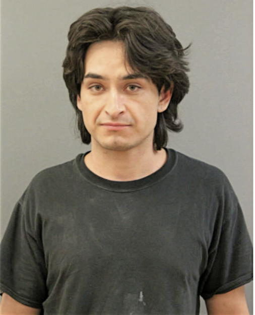 GUILLERMO M DIAZ, Cook County, Illinois