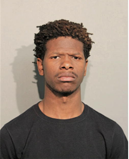 STEVEN L ELLIOTT, Cook County, Illinois
