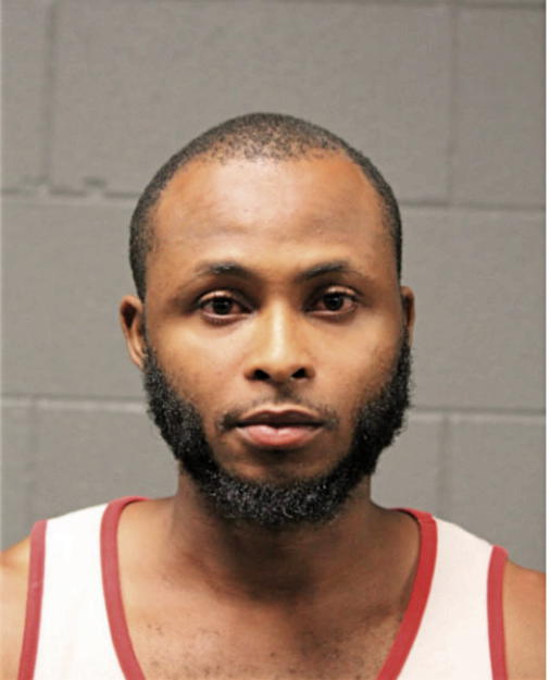 BABASOPE B FASHINA, Cook County, Illinois