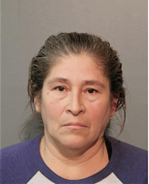 MINERVA M GUZMAN, Cook County, Illinois