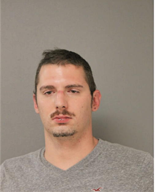 PETER S HOFFER, Cook County, Illinois