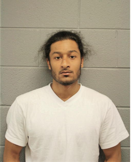 REGINALD JOHNSON, Cook County, Illinois