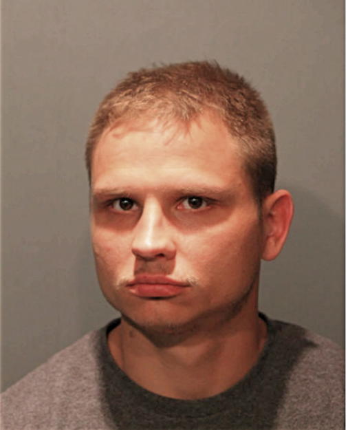 BRYAN J LUMPP, Cook County, Illinois