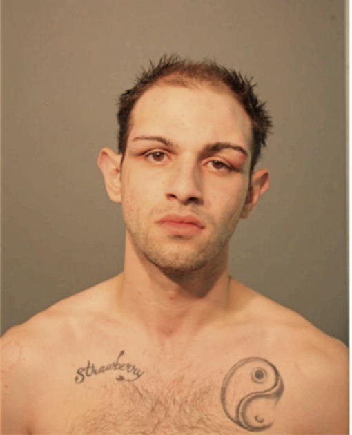 PERRY M MARKS, Cook County, Illinois