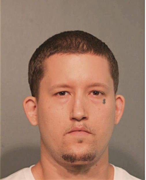 SCOTT ANTHONY OLSON, Cook County, Illinois