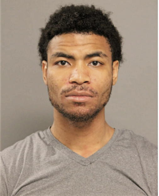 DEONTAY L PAGE, Cook County, Illinois