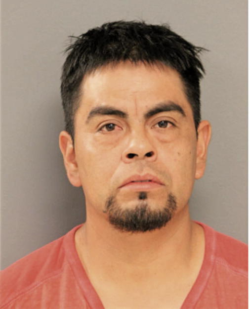 FELICIANO J REYES, Cook County, Illinois