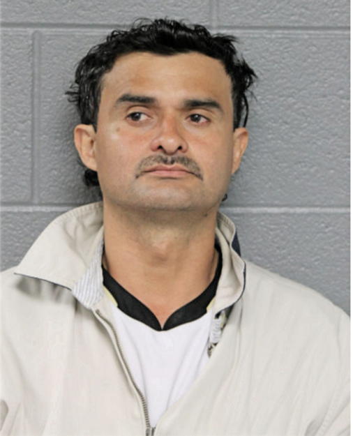 ARMANDO MENDIOLA REZA, Cook County, Illinois