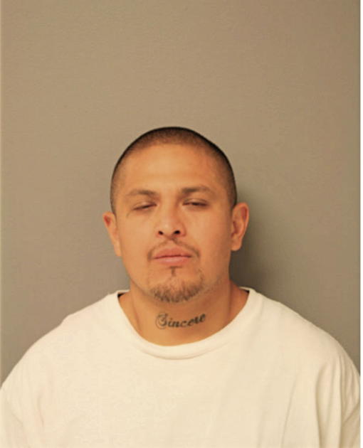 RENE RICO, Cook County, Illinois