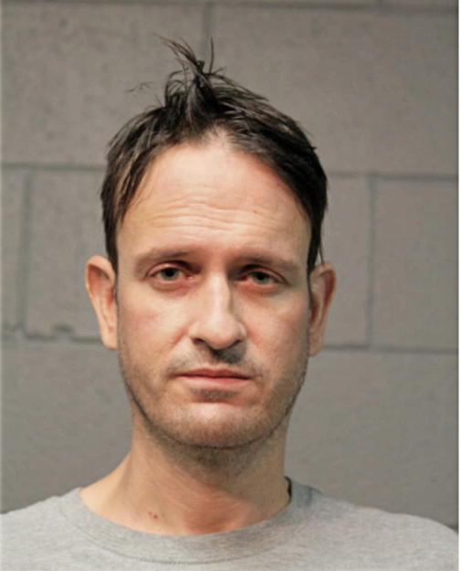 SHAUN P SHANAHAN, Cook County, Illinois