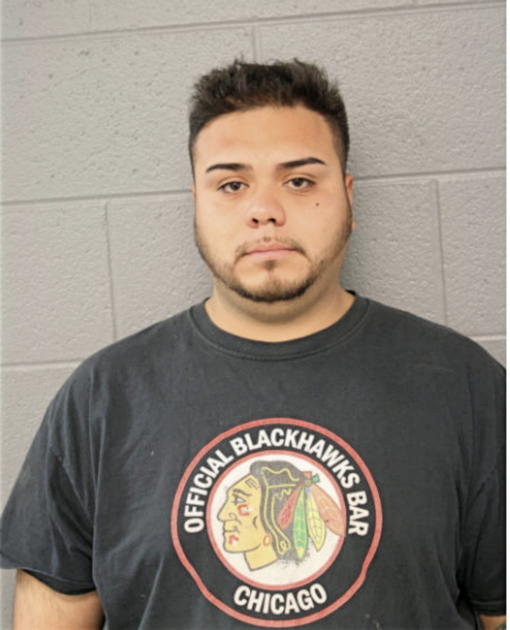 ERICK SIGALA, Cook County, Illinois