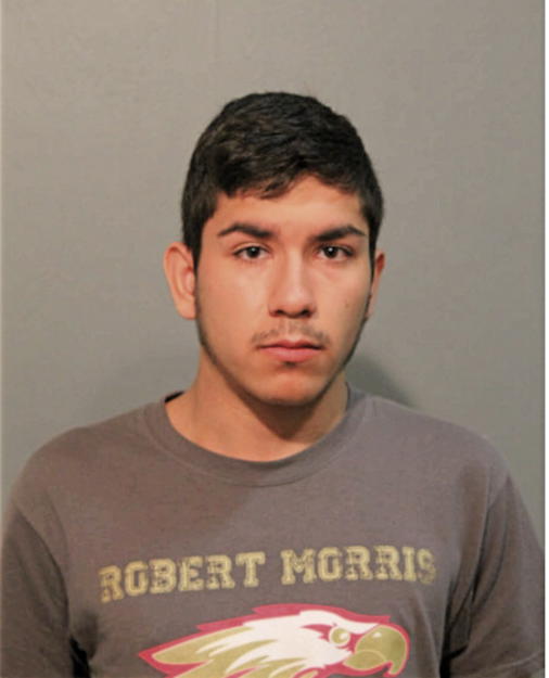 MARTIN DEL TORO, Cook County, Illinois