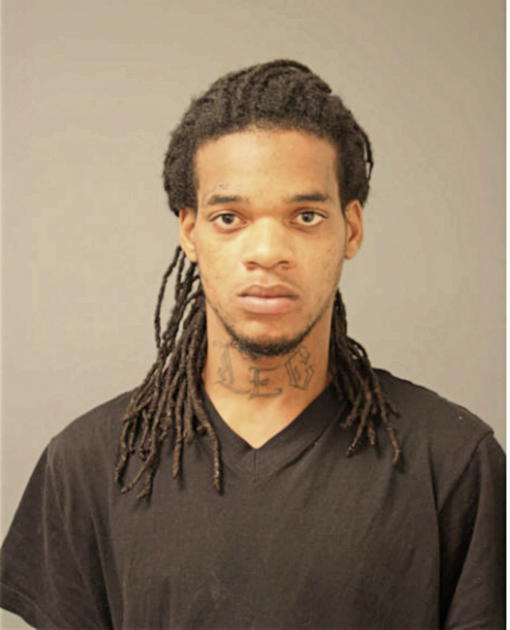 QEWANE R WATKINS, Cook County, Illinois