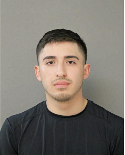 FERNAN MILIAN A MORALES, Cook County, Illinois