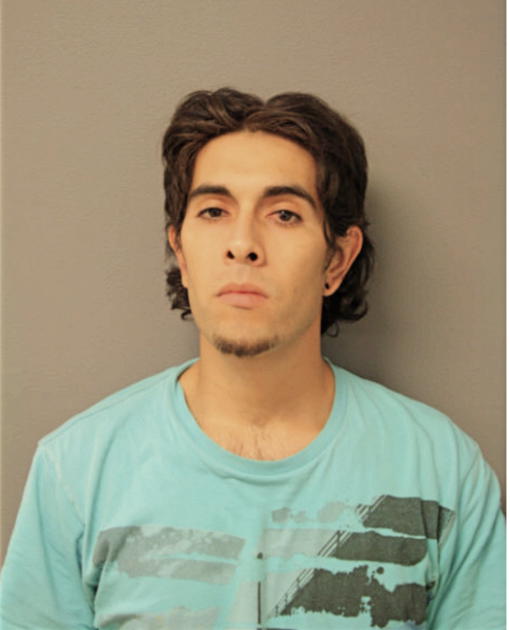 DIEGO P ACEVES, Cook County, Illinois