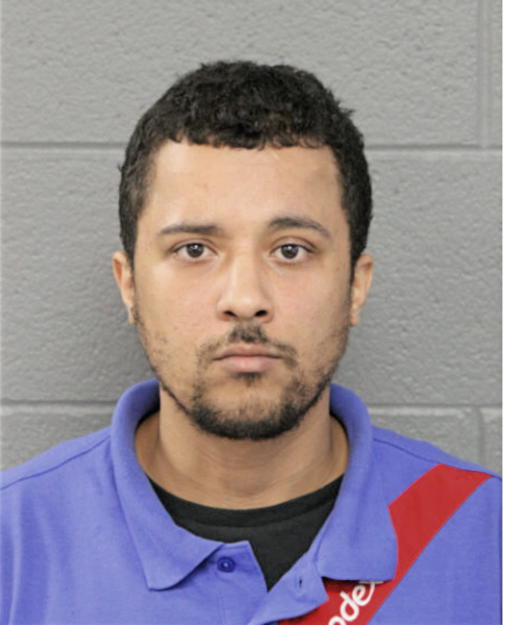 NICK ADAMS, Cook County, Illinois