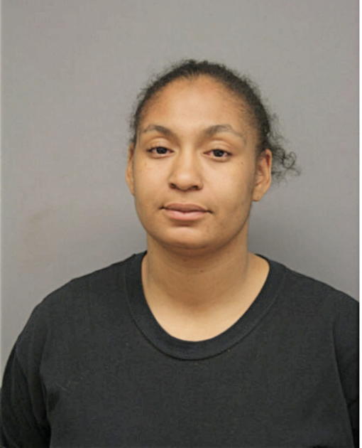 SANTOENIESHIA L.T. BIRGANS, Cook County, Illinois