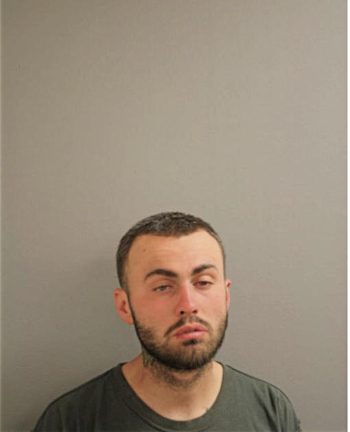 PATRICK L CLEARY, Cook County, Illinois