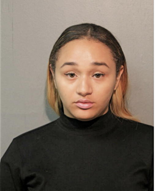 AMAREE K FERNANDER, Cook County, Illinois