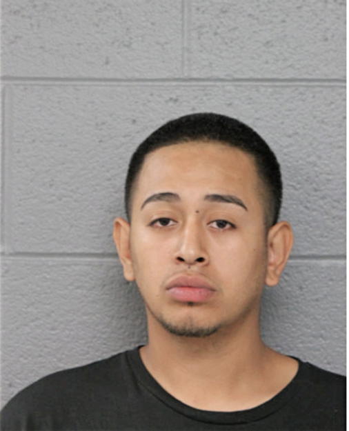 ANIBEL HERNANDEZ, Cook County, Illinois