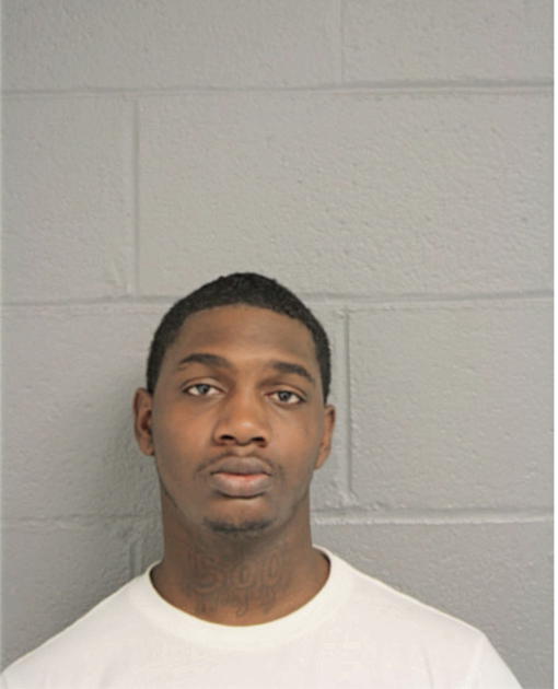 CHRISTOPHER L JOHNSON, Cook County, Illinois
