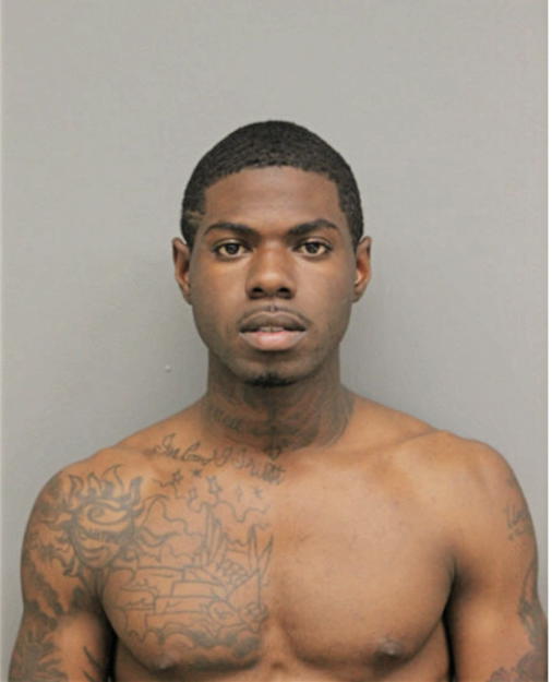 TIMOTHY E KYLES, Cook County, Illinois