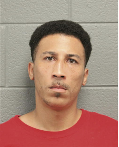 ANTHONY L LIGHTFOOT, Cook County, Illinois