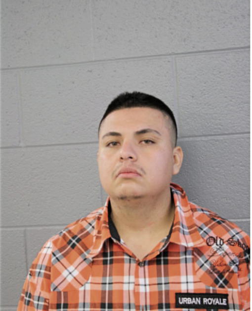 ROYSAN MENDEZ, Cook County, Illinois