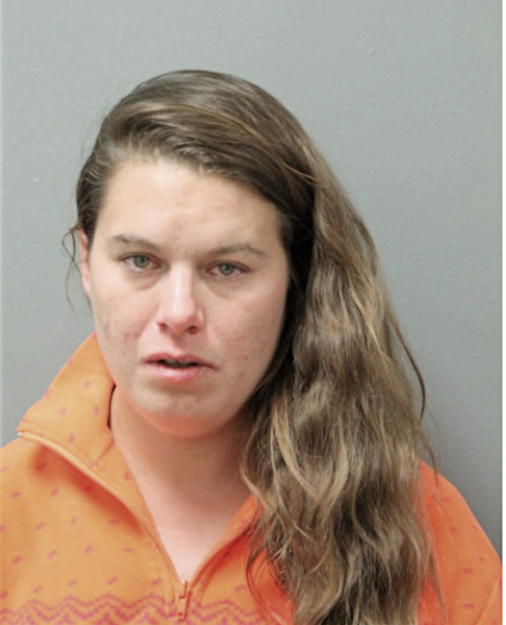 MELISSA N METZ, Cook County, Illinois