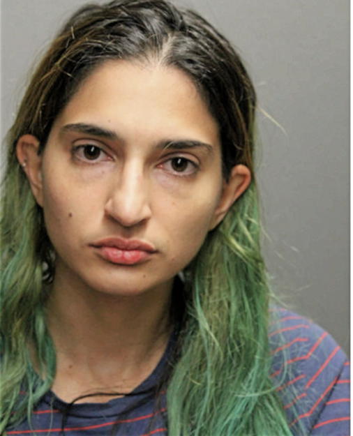 SHADI NADRI, Cook County, Illinois