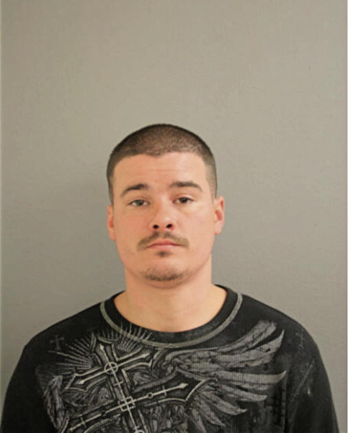BRETT R PINE, Cook County, Illinois