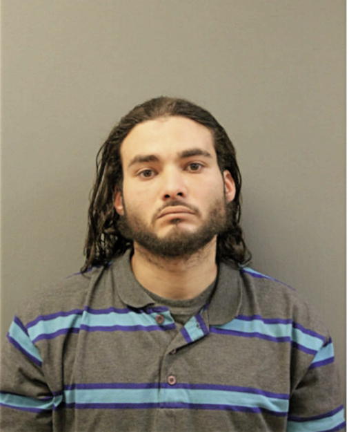 NELSON J ROSARIO, Cook County, Illinois