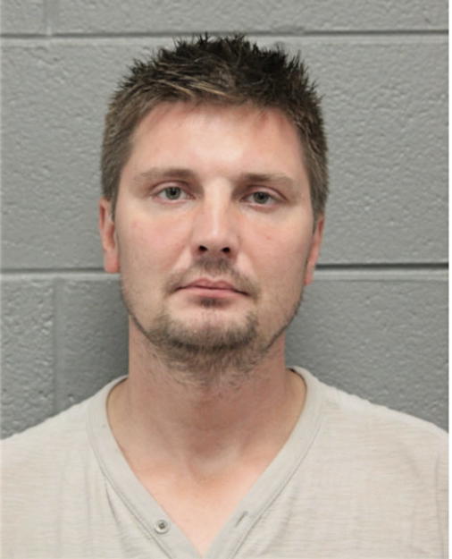 IGOR A STRELNIKOV, Cook County, Illinois
