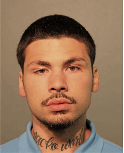 JUSTIN J VENTURA, Cook County, Illinois