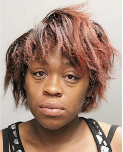 MICHELLE A WILSON, Cook County, Illinois