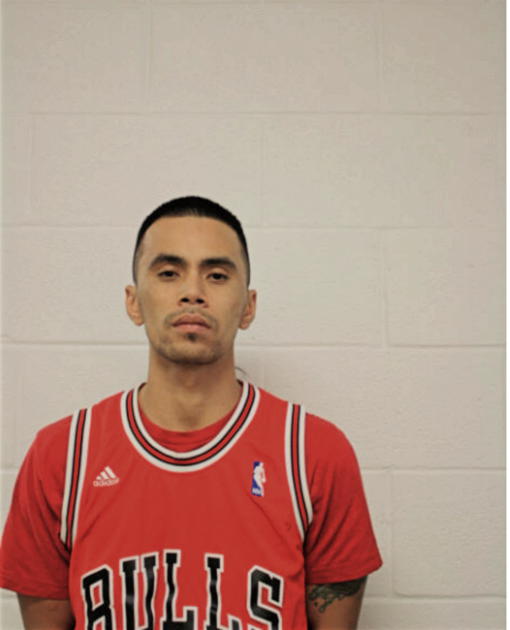 MINH BEIN, Cook County, Illinois