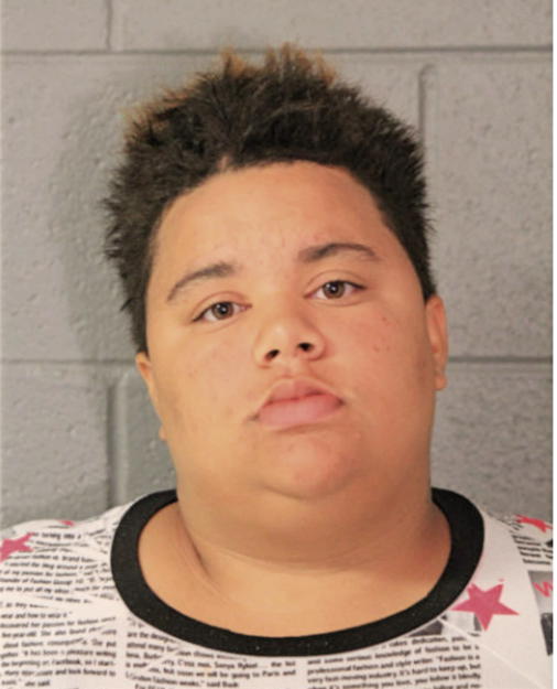 ERYKAH BRIDGES, Cook County, Illinois