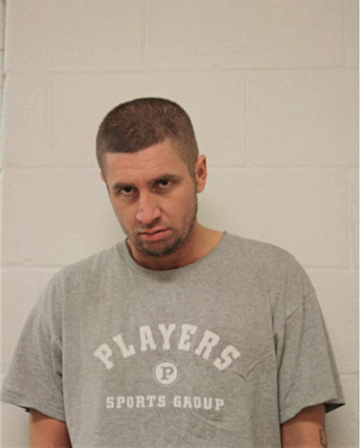 DAVID T CARROLL, Cook County, Illinois